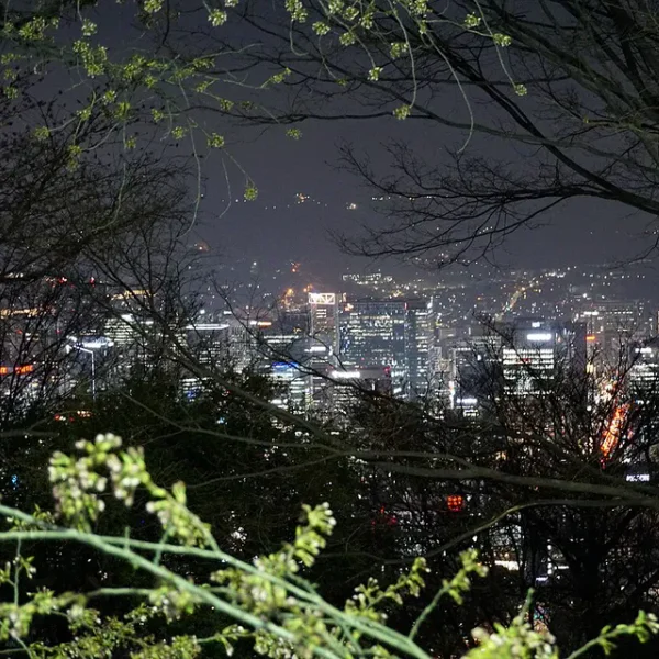 가든 리서스테이 테라피 제휴업체 이미지