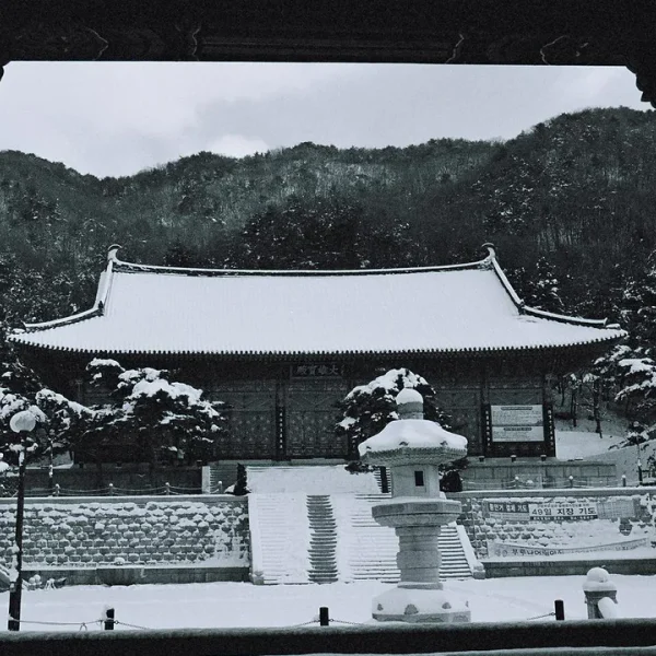 블랑 레드존센터 테라피 대표 안내 이미지